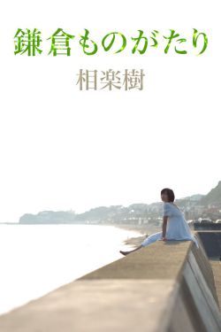 藏海花1—36集电视剧免费观看